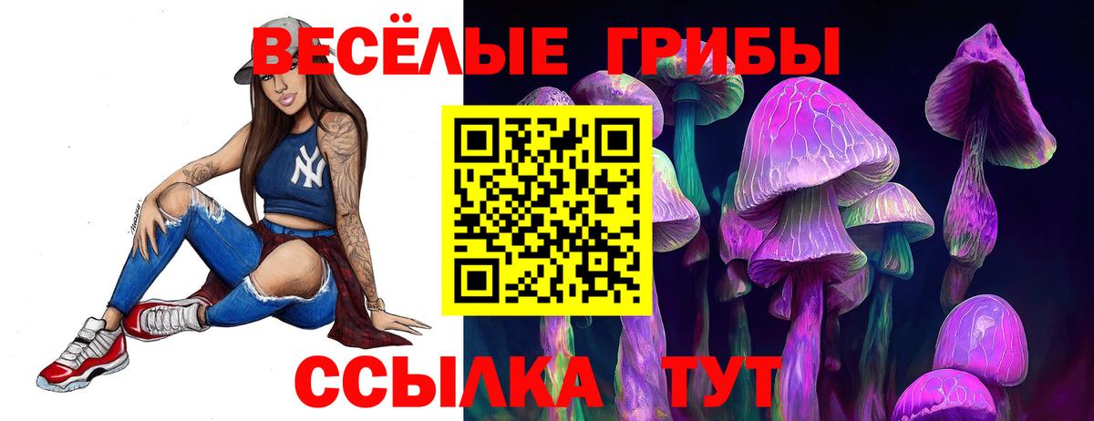 Курчалой  Галлюциногенные грибы прущие грибы  Галлюциногенные грибы мицелий  Вход с VPN 