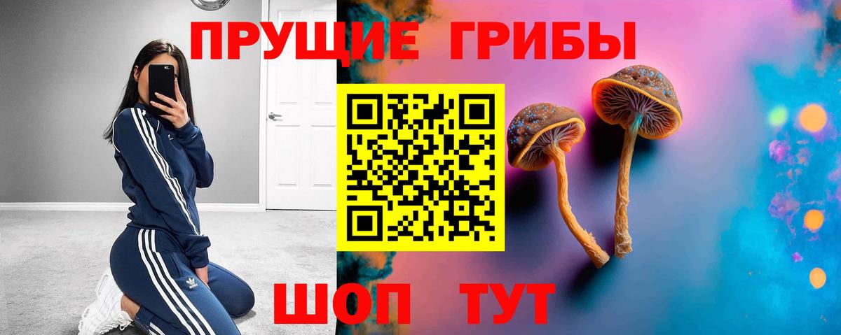 Галлюциногенные грибы мухоморы Курчалой